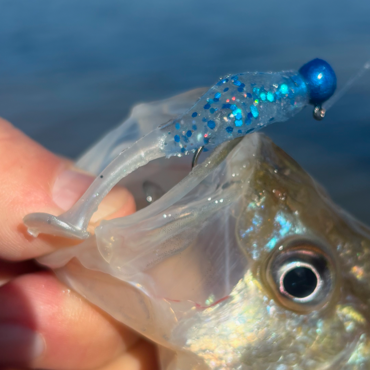 Paddle Shad - Toothpaste Pearl