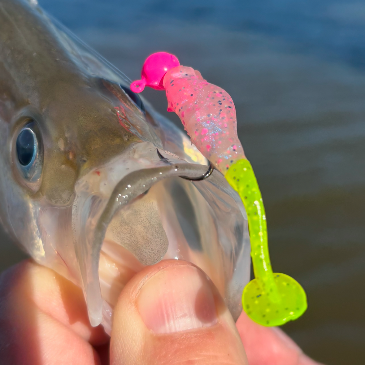 Paddle Shad - Pink Lemonade