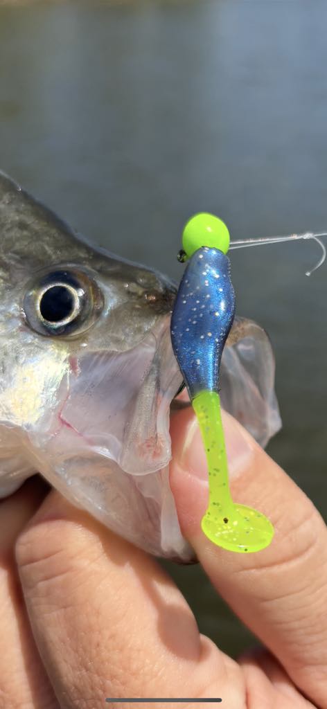 Paddle Shad - Midnight Chartreuse Sparkle