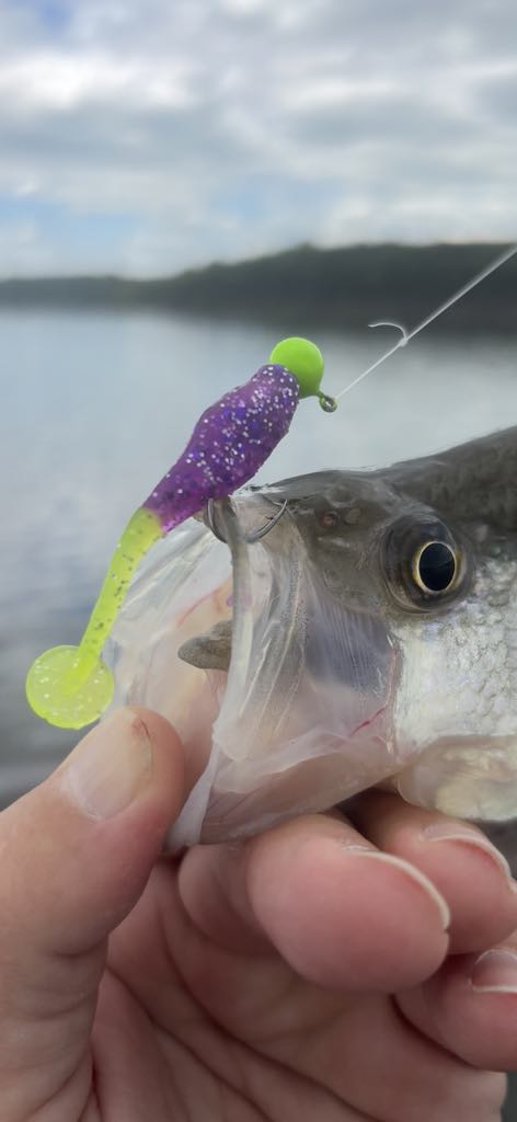 Paddle Shad - Purple Chartreuse Sparkle