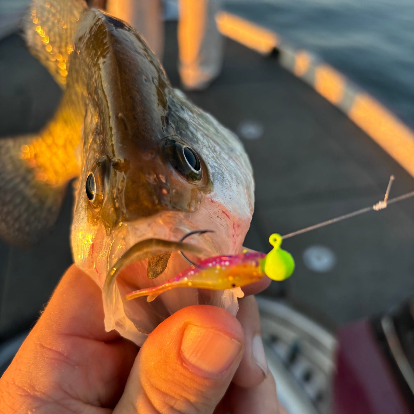 Mini Split Tail Shad - Purple Chartreuse Sparkle