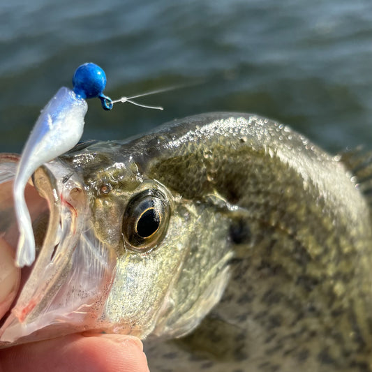 Mini Split Tail Shad - Blue Crystal