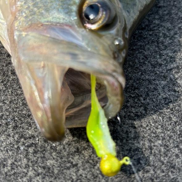 Mini Split Tail Shad - White Pearl Chartreuse Sparkle