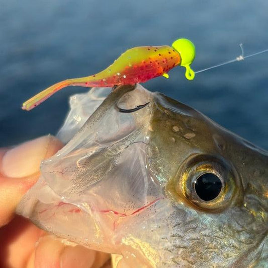 Mini Split Tail Shad - Red Chartreuse Sparkle