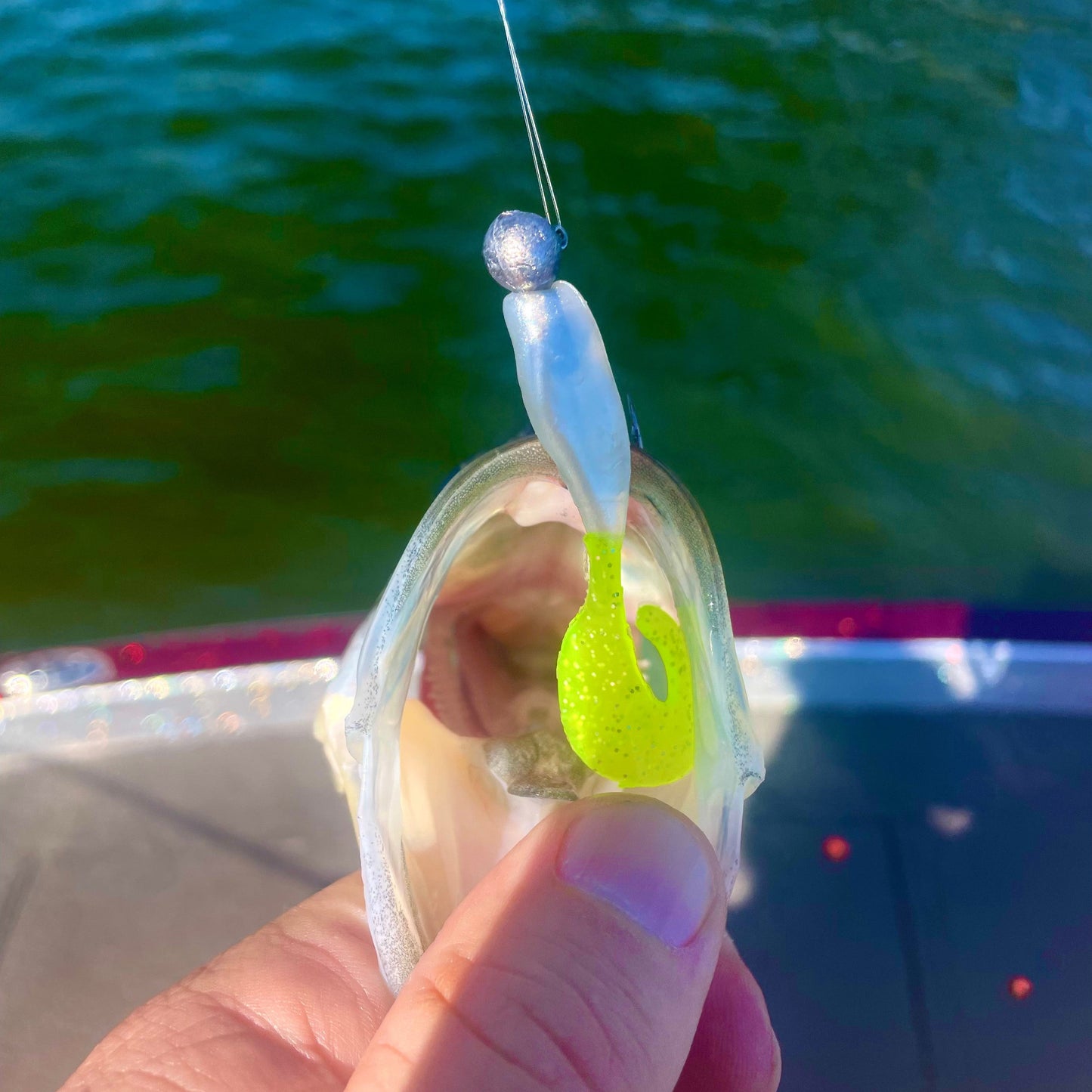 SHAD GRUB