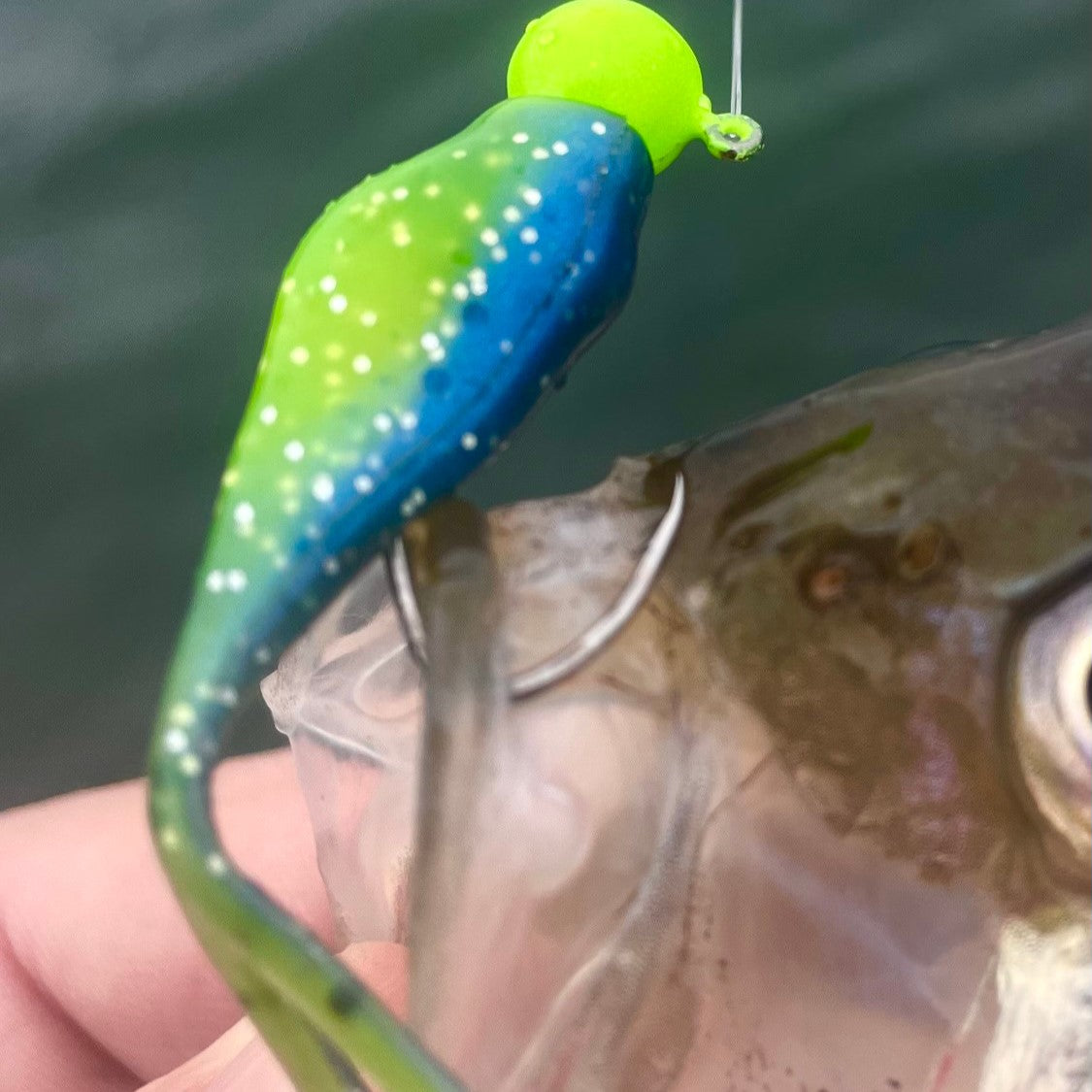 Split Tail Shad - Midnight Chartreuse Sparkle