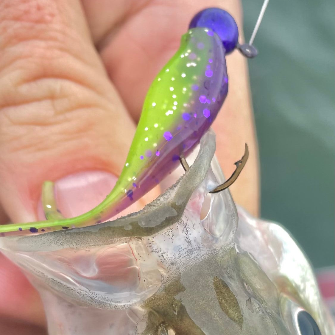 Split Tail Shad - Purple Chartreuse Sparkle