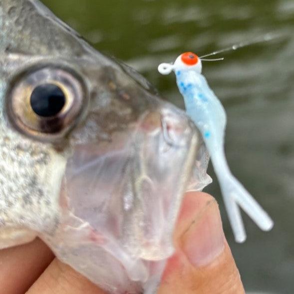 Mini Split Tail Shad - Toothpaste Pearl